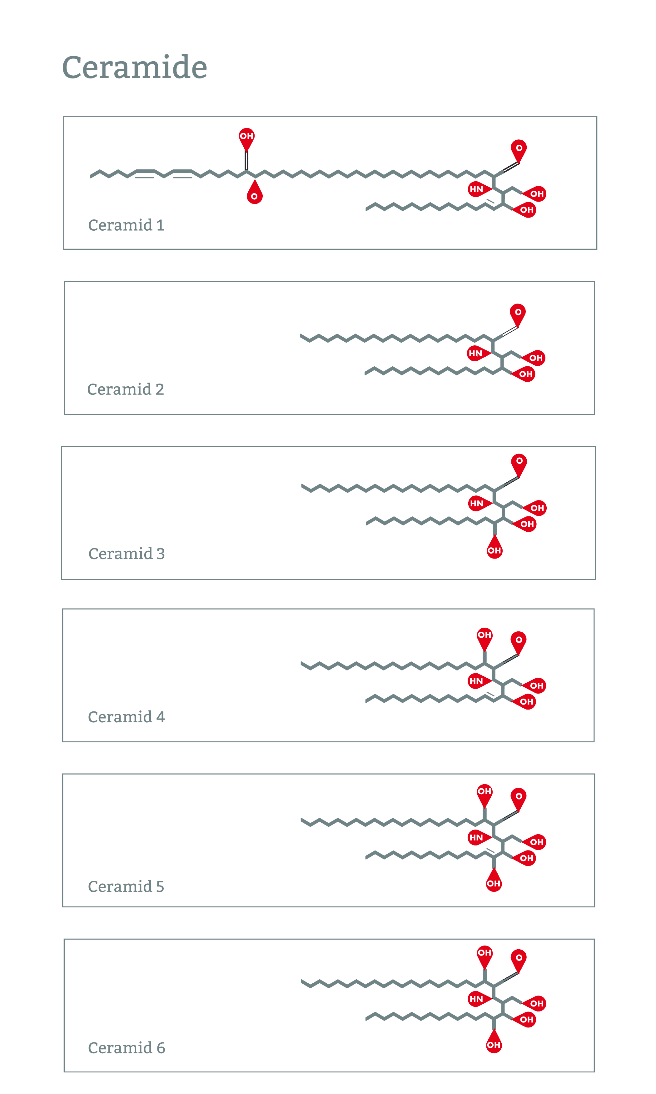 Ceramid, Ceramid III, Ceramid AP