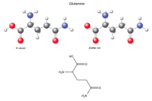 Glutamin