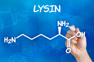 Lysin