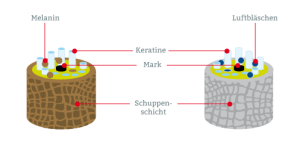 graues Haar