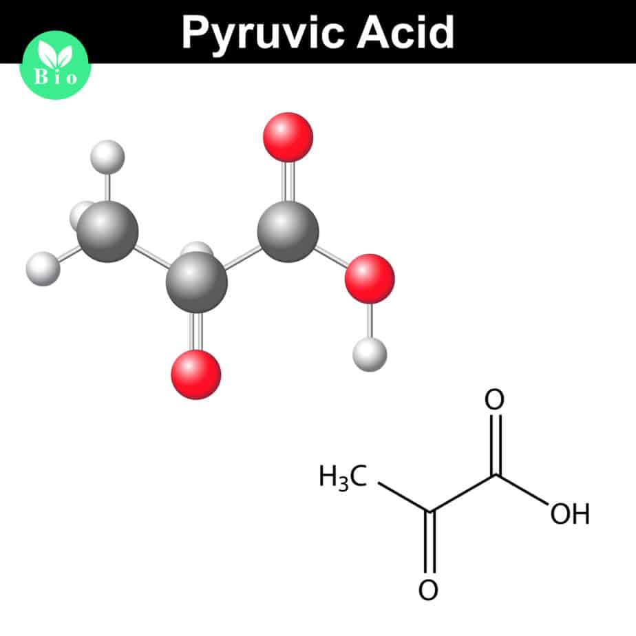 Pyruvic Acid
