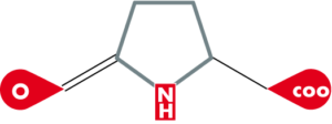 Pyrrolidoncarbonsäure