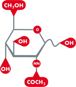 Acetyl Glucosamine