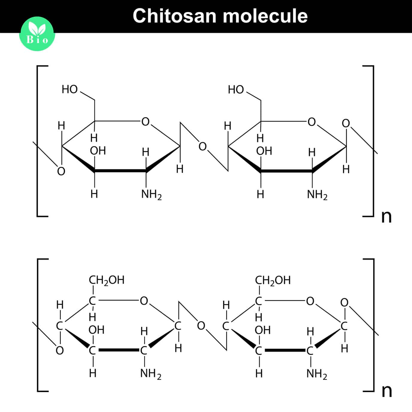 Chitosan, Polyglucosamin, Chitin, vegan