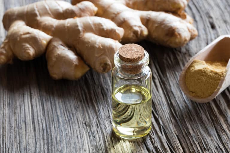 Zingiber Officinale (Ginger) Root Extract