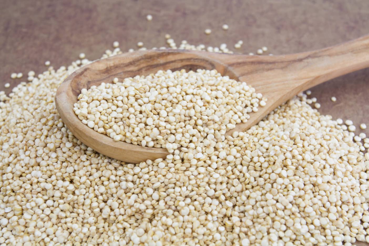 Chenopodium Quinoa