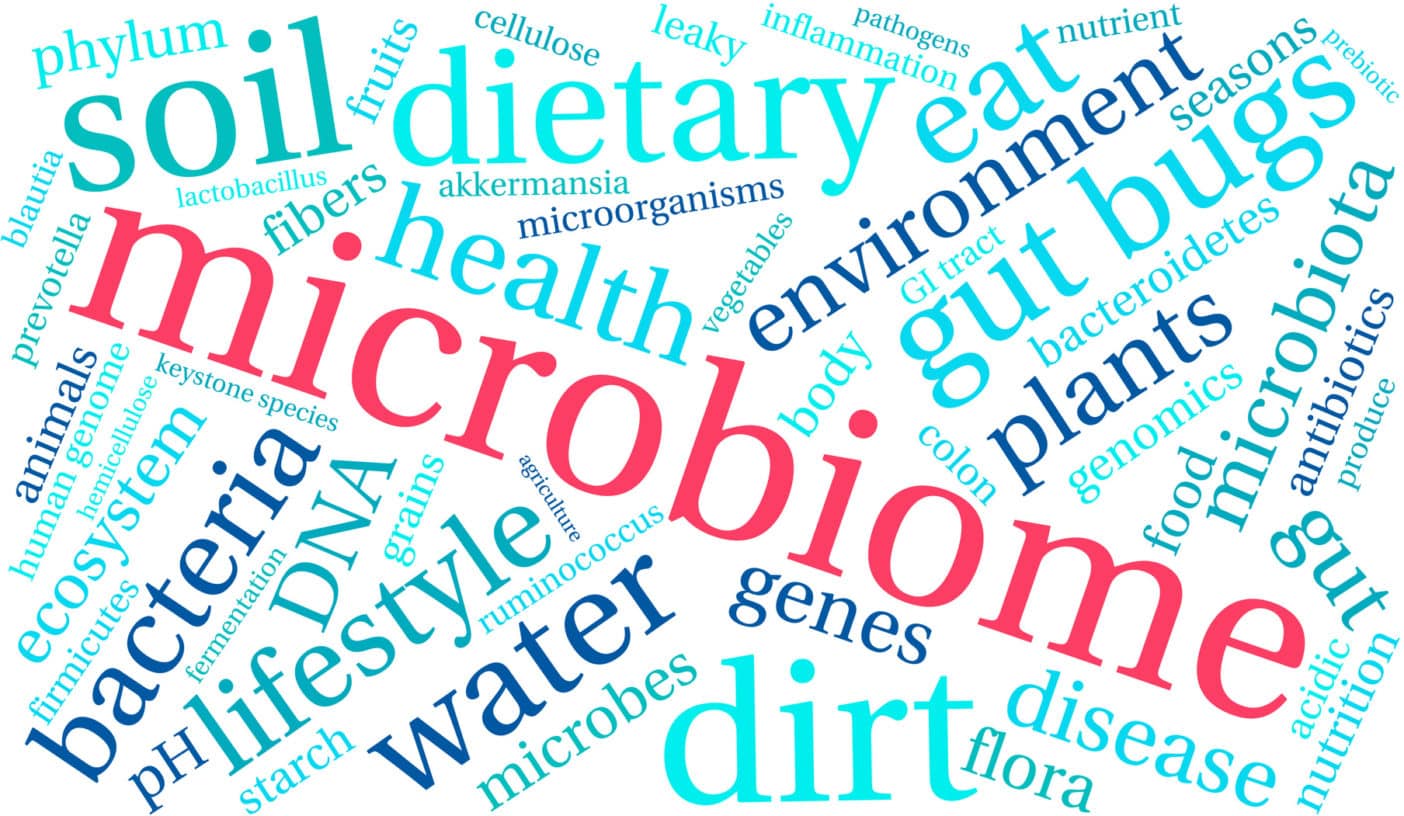 Fermented ingredients, ferment, filtrate