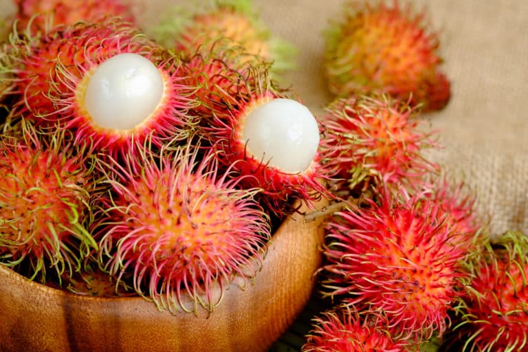 Nephelium Lappaceum; Rambutan, Rambutanextrakt