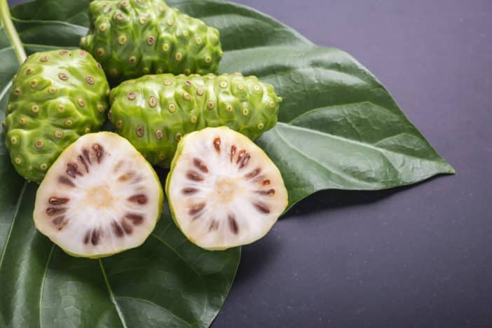 Noni, Adaptogens, Amla, Plant adaptogens