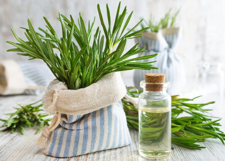 Ursolic acid, Carnosic Acid, sage extract