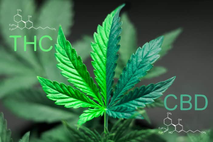 Cannabidiol (CBD), Hemp, cosmetics, borderlands, regulations