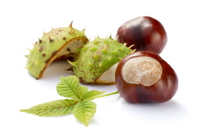 Escin, Aesin, Aesculus Hippocastanum (Horse Chestnut) Seed Extract