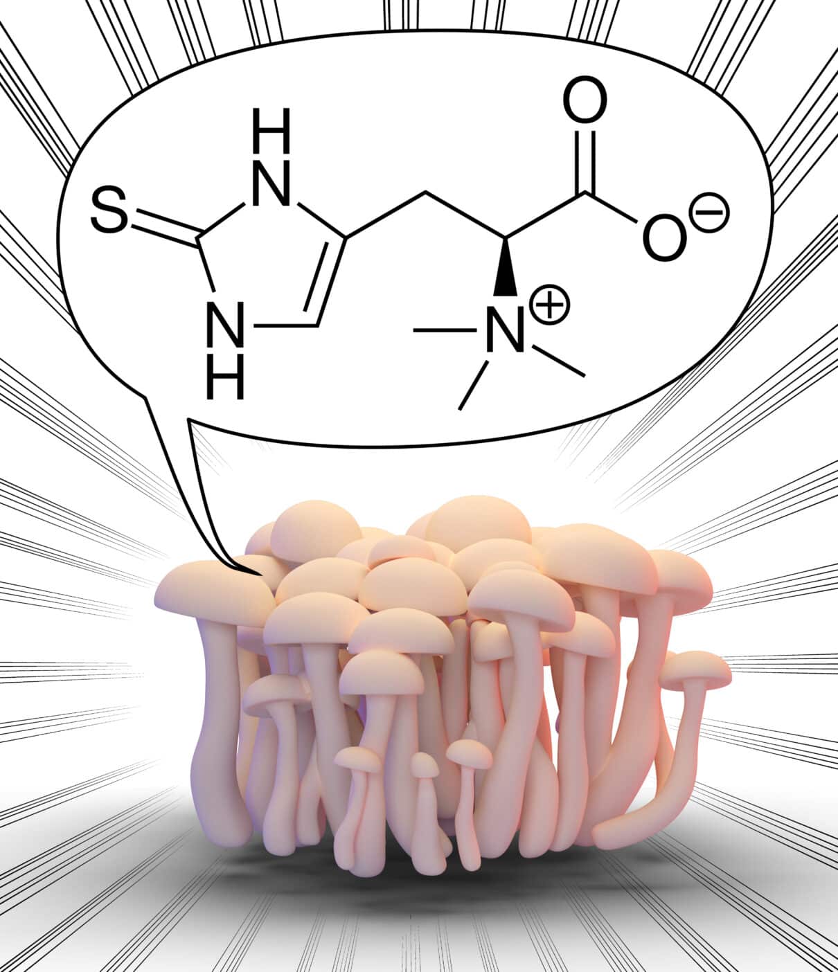 Ergothionein; CAS 497-30-3; Ergothionein