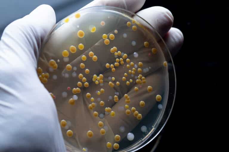 Preservative systems, preserving agent