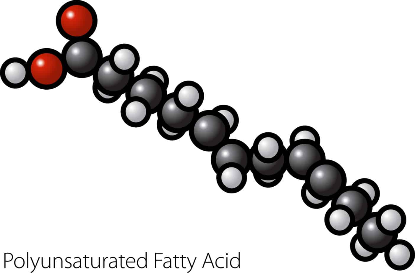 PUFA, Mehrfach ungesättigte Fettsäuren, Omega-3 Fettsäuren, Omega-6